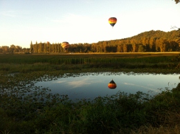 bobs balloons